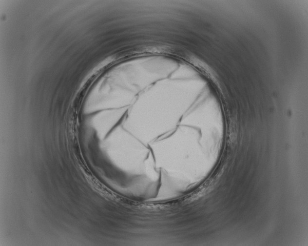 X0000081490827200702100028