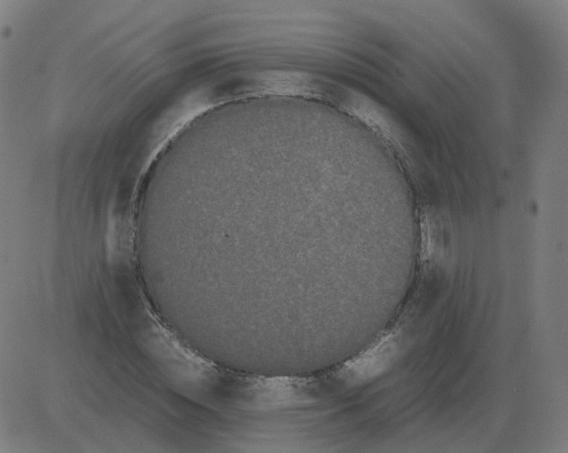 X0000081490828200702100028