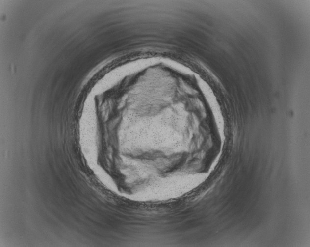 X0000081490829200702100028