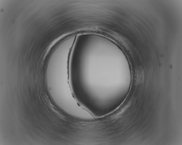 X0000081490830200702100028