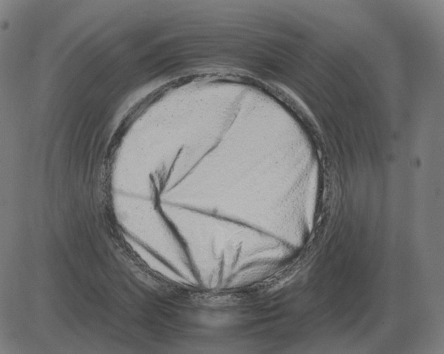 X0000081490831200702100028