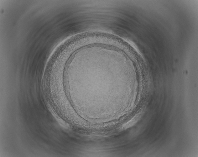 X0000081490832200702100028