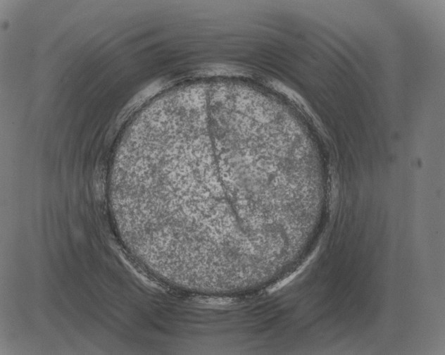 X0000081490833200702100028