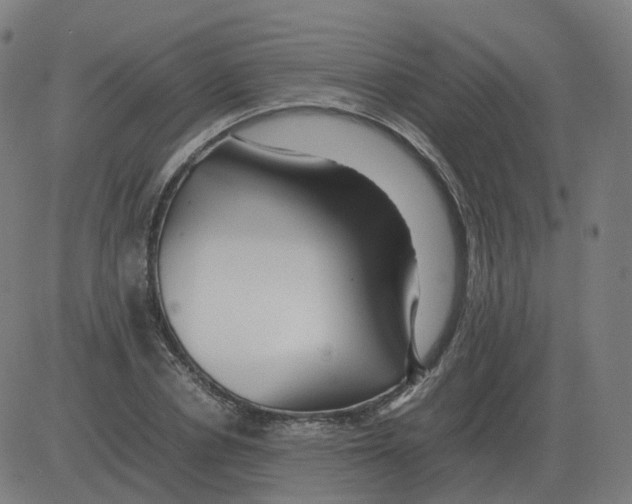 X0000081490834200702100028