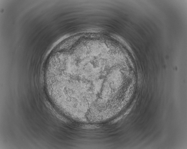 X0000081490835200702100028