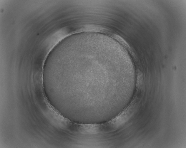 X0000081490836200702100028