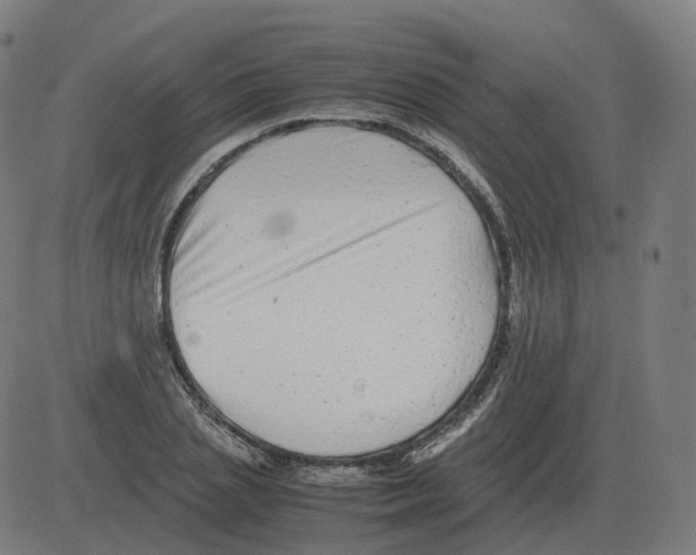 X0000081490837200702100028