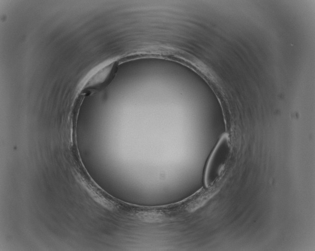 X0000081490838200702100028