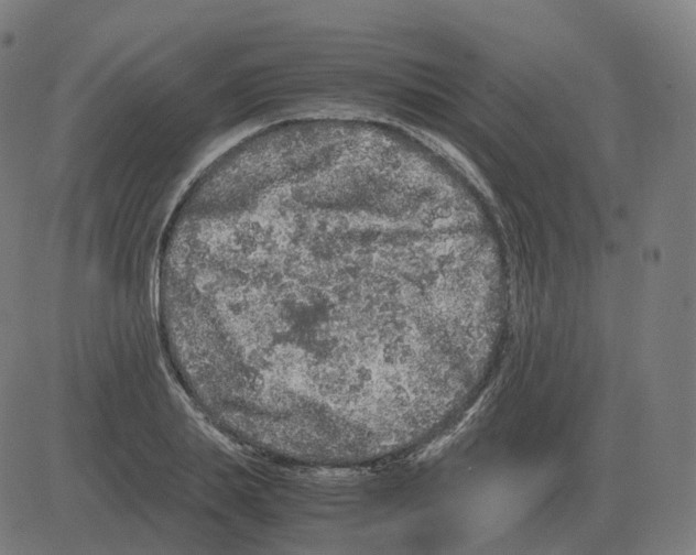 X0000081490839200702100028