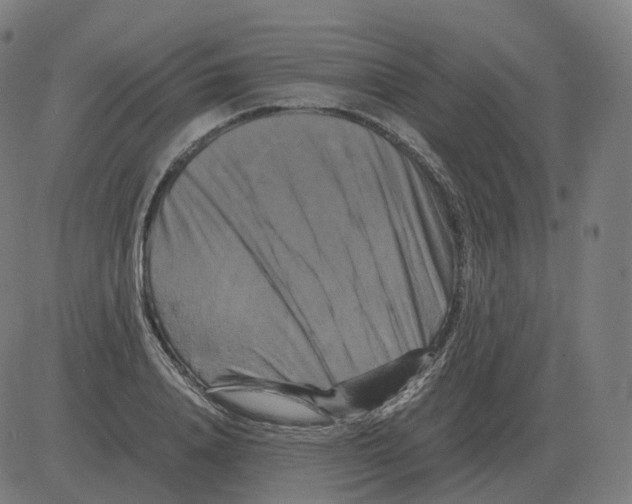 X0000081490840200702100028