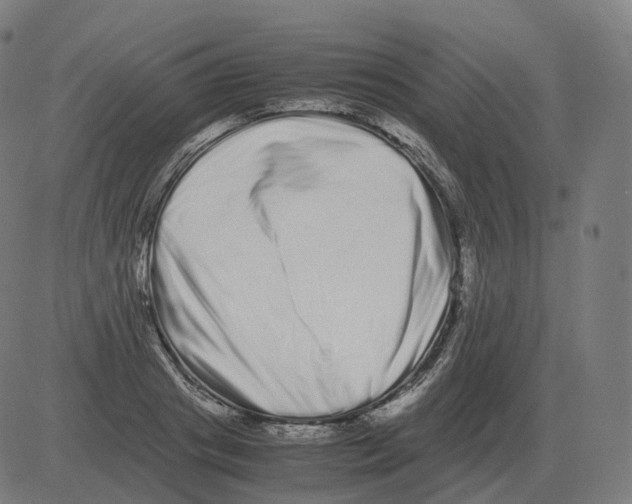 X0000081490841200702100028