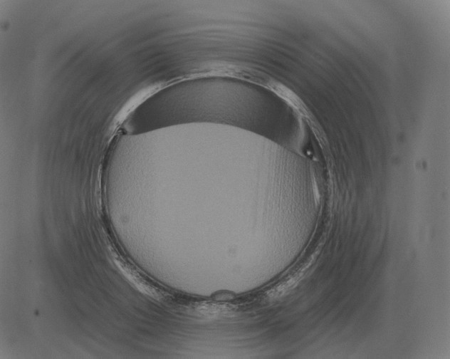 X0000081490842200702100028