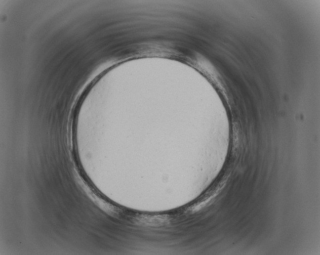 X0000081490843200702100028