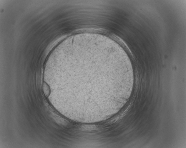 X0000081490844200702100028