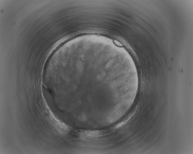 X0000081490845200702100028