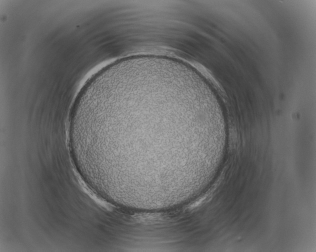 X0000081490846200702100028