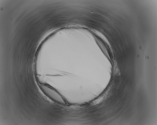 X0000081490847200702100028