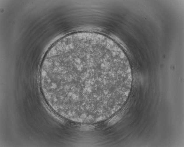 X0000081490848200702100028