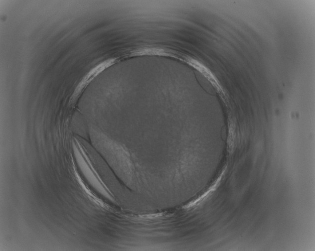 X0000081490849200702100028