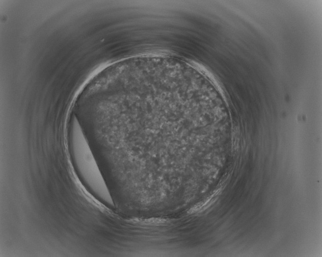 X0000081490851200702100028