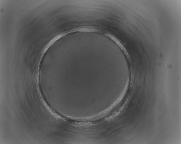 X0000081490853200702100028