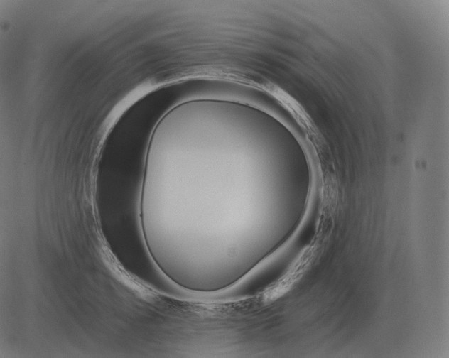 X0000081490854200702100028