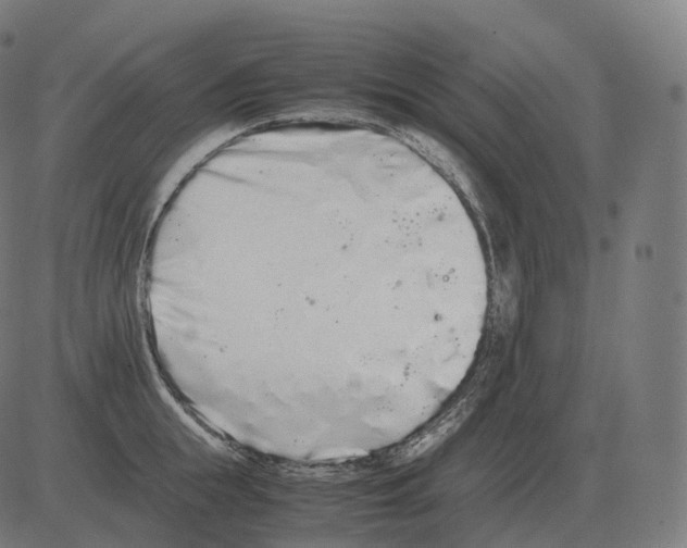 X0000081490855200702100028