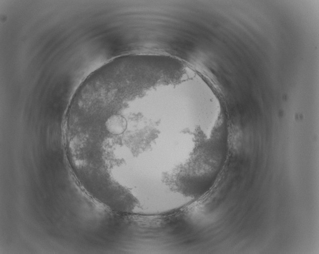 X0000081490856200702100028