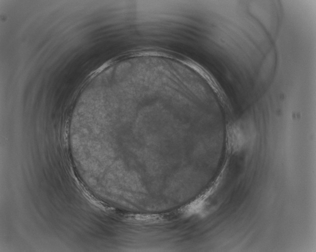 X0000081490857200702100028