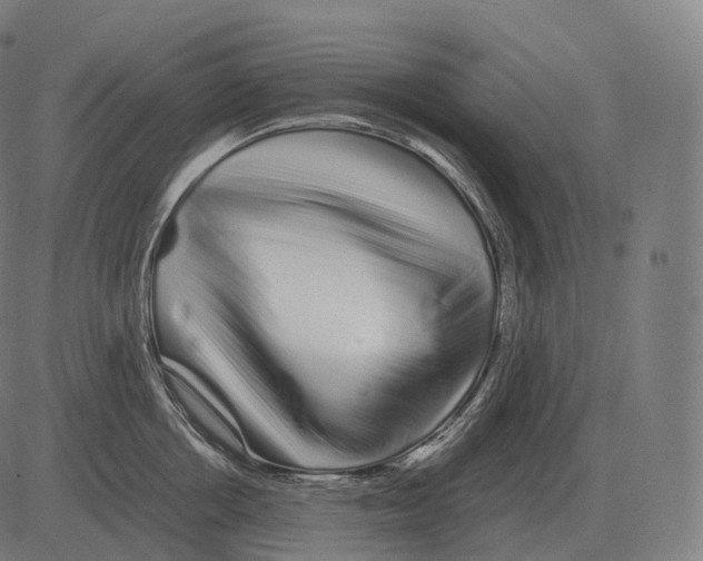 X0000081490858200702100028