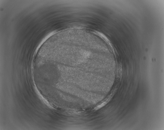 X0000081490859200702100028