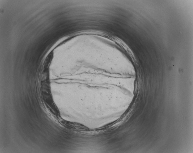 X0000081490860200702100028