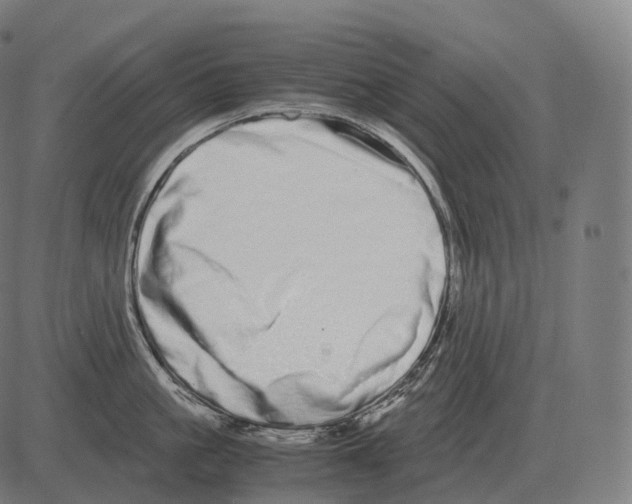 X0000081490861200702100028