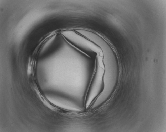 X0000081490862200702100028