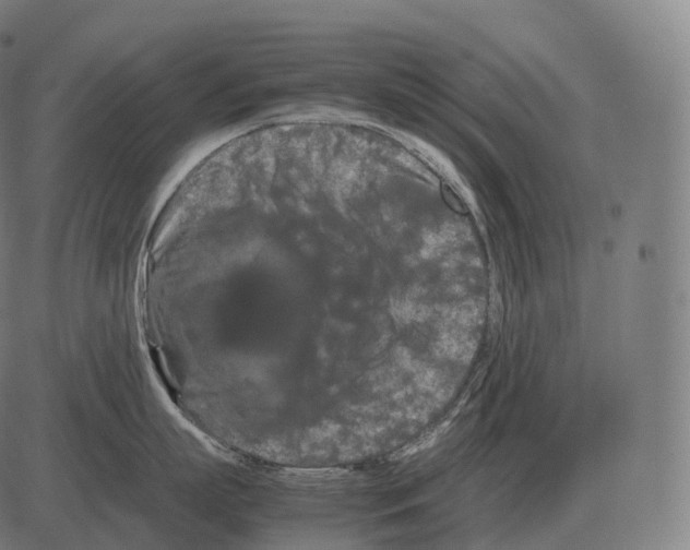 X0000081490863200702100028