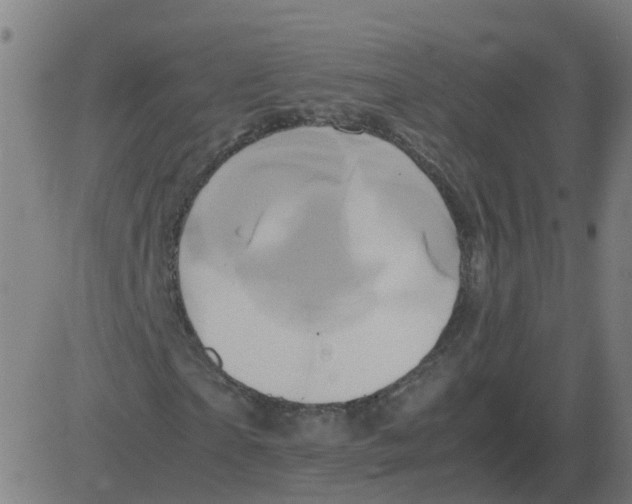 X0000081490865200702100027