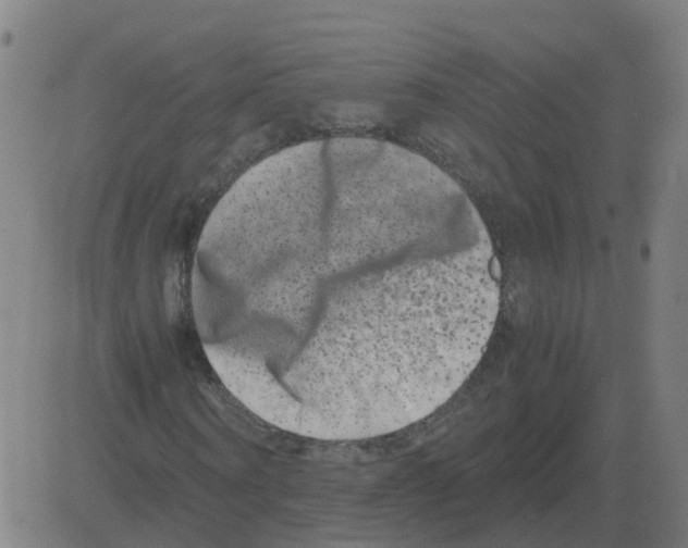 X0000081490866200702100027