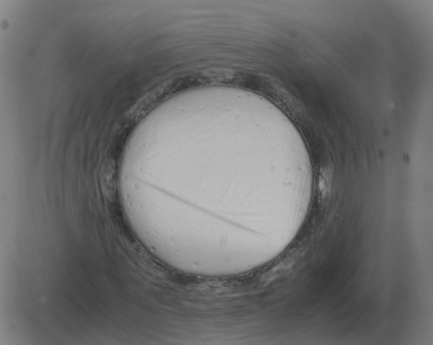 X0000081490867200702100027