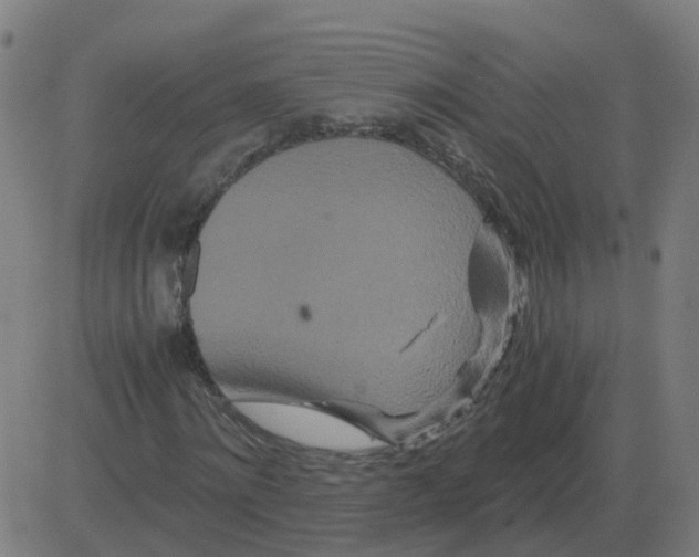 X0000081490868200702100027