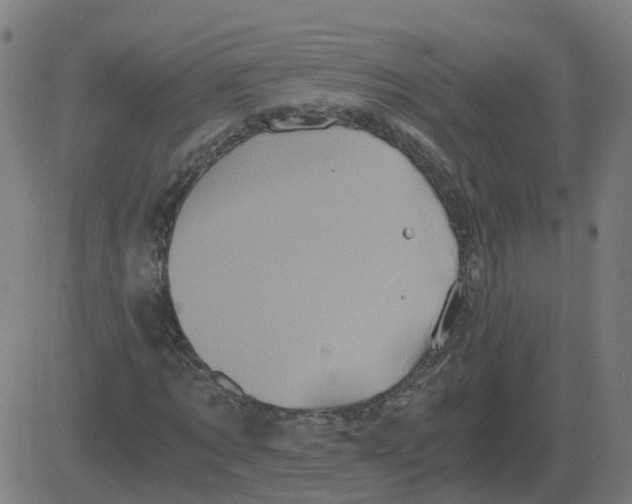 X0000081490869200702100027