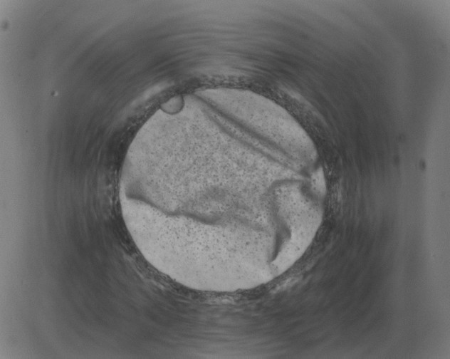 X0000081490870200702100027