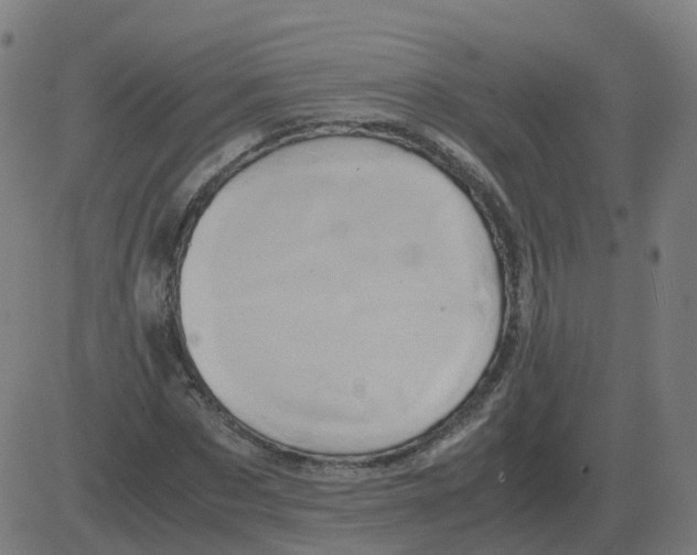 X0000081490873200702100027