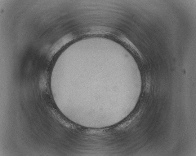 X0000081490874200702100027