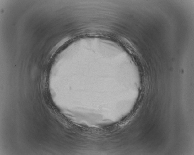 X0000081490875200702100027