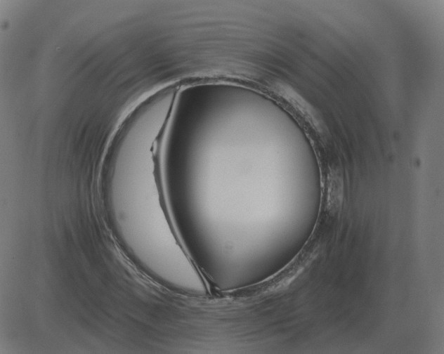 X0000081490876200702100027