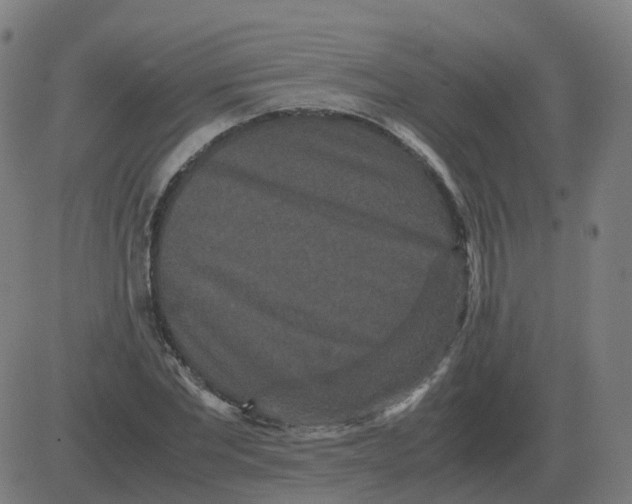 X0000081490877200702100027