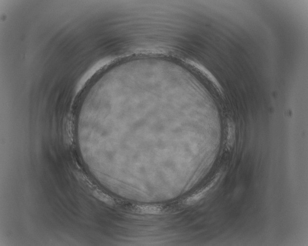 X0000081490878200702100027