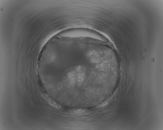 X0000081490879200702100027