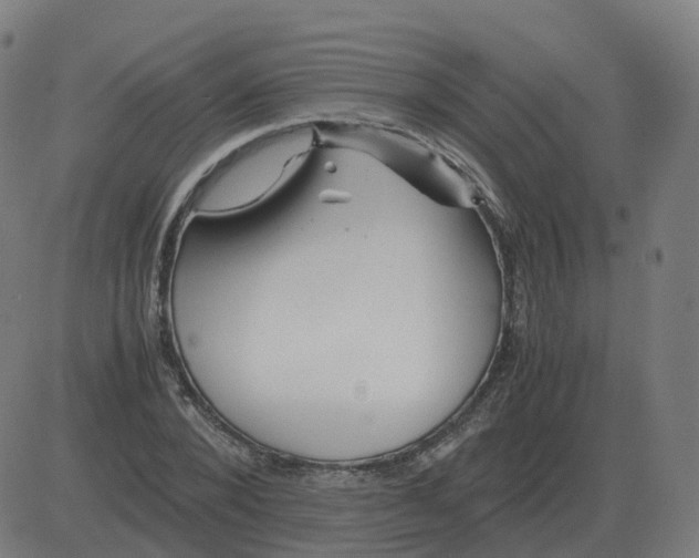 X0000081490880200702100027