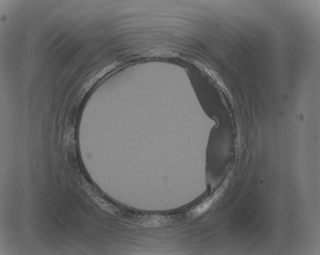 X0000081490881200702100027